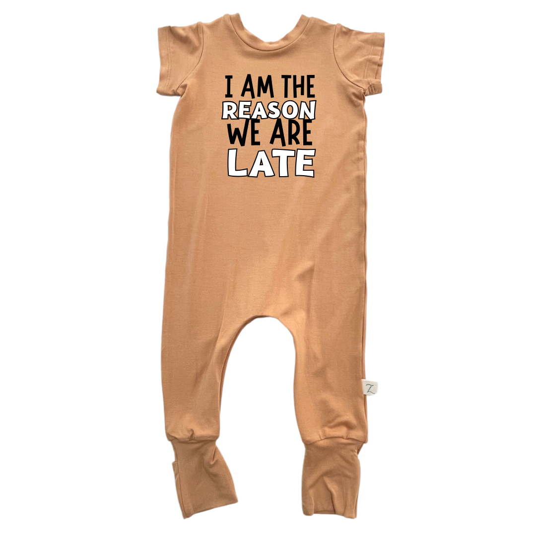I’m the reason we are late (dark) Vinyl Transfer