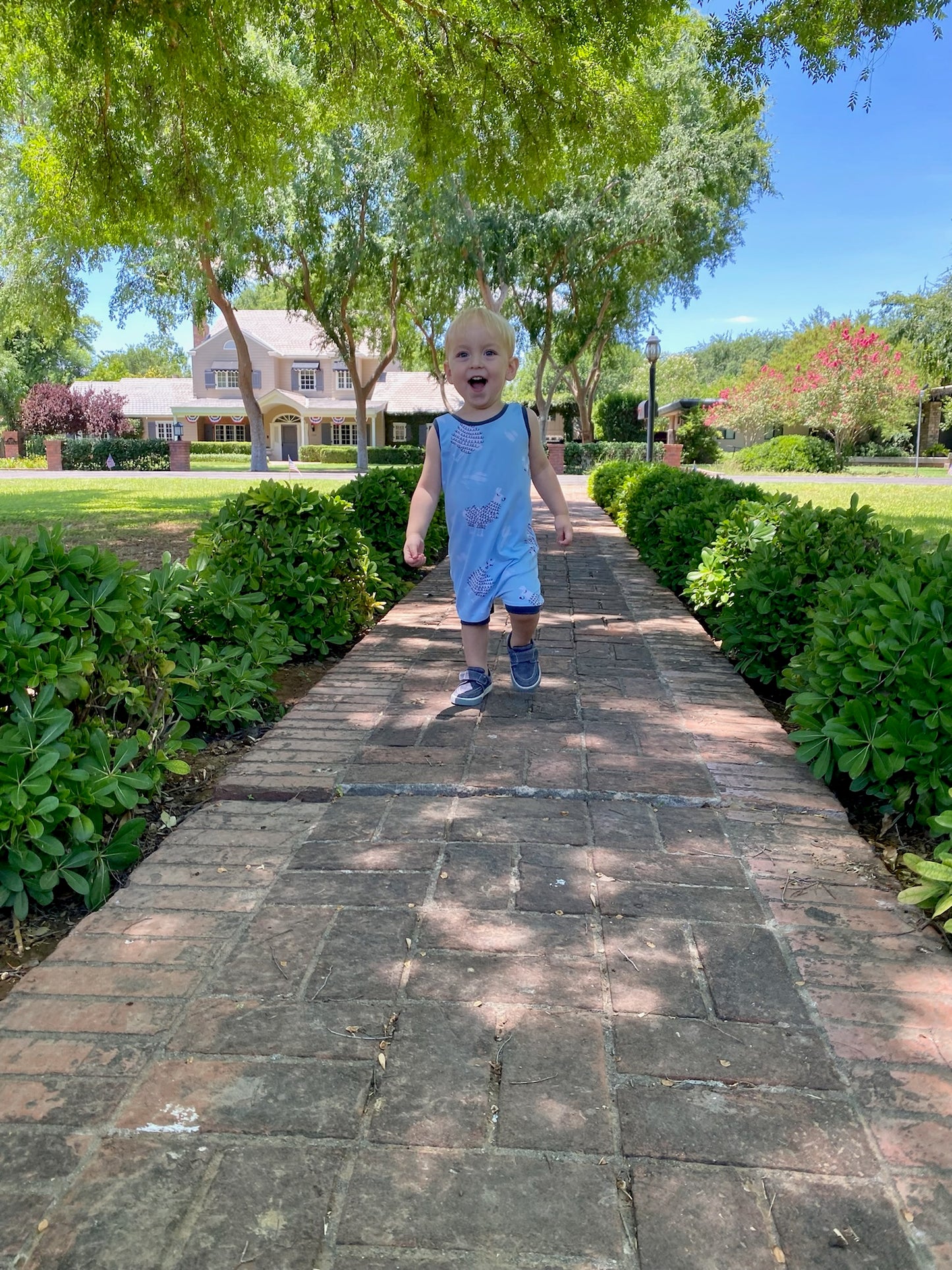 Blue Llamas Summer Zip Romper - Zipease