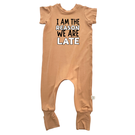 I’m the reason we are late (dark) Vinyl Transfer